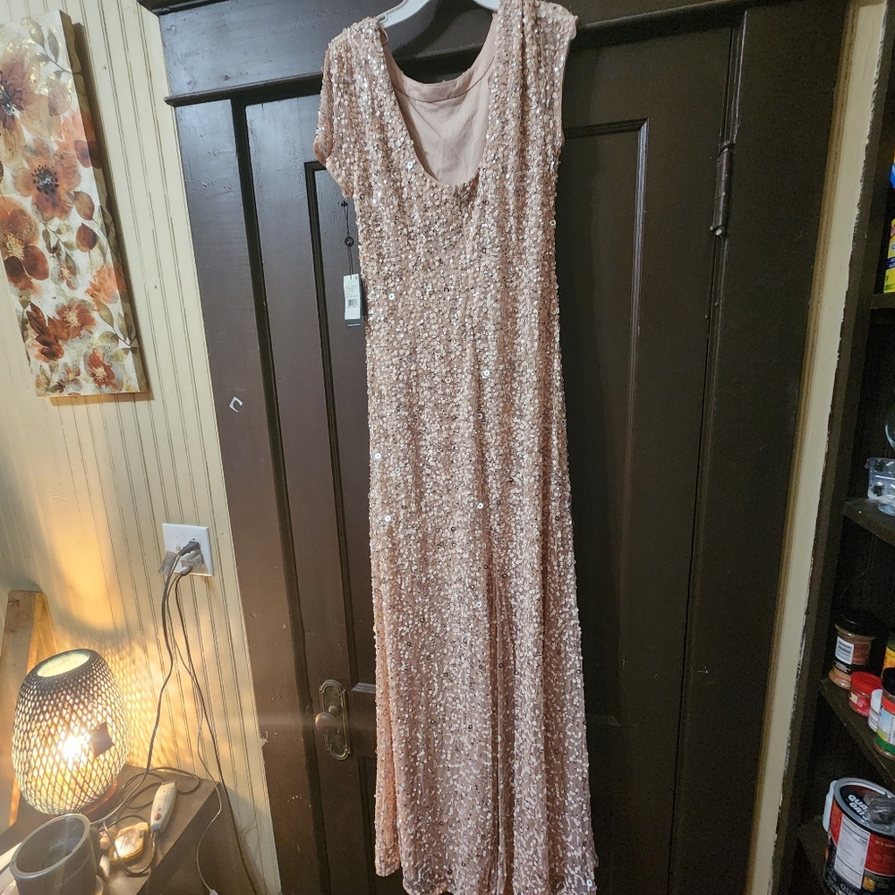 Adrianna Papell Color "Blush" Size 12